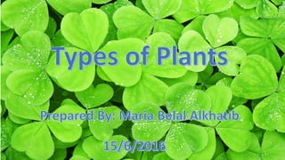 Types of plants