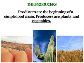 THEPRODUCERS
Producersarethebeginningofa
simplefoodchain.Producersareplants and
vegetables.
 