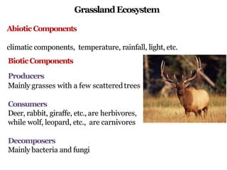 GrasslandEcosystem
Abiotic Components
climatic components, temperature, rainfall, light, etc.
BioticComponents
Producers
Mainly grasses with a few scatteredtrees
Consumers
Deer, rabbit, giraffe, etc., are herbivores,
while wolf, leopard, etc., are carnivores
Decomposers
Mainly bacteria and fungi
 