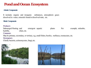 PondandOcean Ecosystem
AbioticComponents
It includes organic and inorganic substances, atmospheric gases
dissolved in water, minerals found in dissolved state, etc.
BioticComponents
Producers
Submerged floating and emergent aquatic plants For example, nelumbo,
hydrilla, chara, etc.
Consumers
Maybe primary, secondary, or tertiary, e.g.,small fishes, beetles, mollusca, crustaceans, etc.
Decomposers
Chiefly bacteria, actinomycetes, fungi,etc.
 