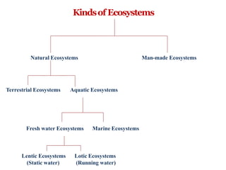 Kindsof Ecosystems
Natural Ecosystems Man-made Ecosystems
Terrestrial Ecosystems Aquatic Ecosystems
Fresh water Ecosystems Marine Ecosystems
Lentic Ecosystems
(Static water)
Lotic Ecosystems
(Running water)
 