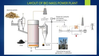 LAYOUT OF BIO MASS POWER PLANT
 