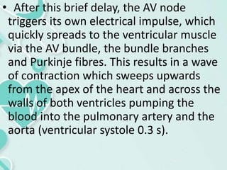 • After this brief delay, the AV node
triggers its own electrical impulse, which
quickly spreads to the ventricular muscle
via the AV bundle, the bundle branches
and Purkinje fibres. This results in a wave
of contraction which sweeps upwards
from the apex of the heart and across the
walls of both ventricles pumping the
blood into the pulmonary artery and the
aorta (ventricular systole 0.3 s).
 