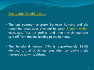  The last common ancestor between humans and the
remaining great apes diverged between 8 and 4 million
years ago, first the gorillas, and then the chimpanzees
split off from the line leading to the humans.
 The functional human DNA is approximately 98.4%
identical to that of chimpanzees when comparing single
nucleotide polymorphisms.
Evolution Continues …
48
 