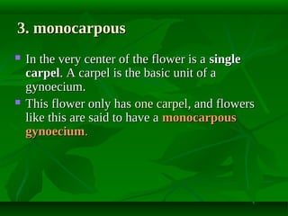 3. monocarpous




In the very center of the flower is a single
carpel. A carpel is the basic unit of a
gynoecium.
This flower only has one carpel, and flowers
like this are said to have a monocarpous
gynoecium.

 