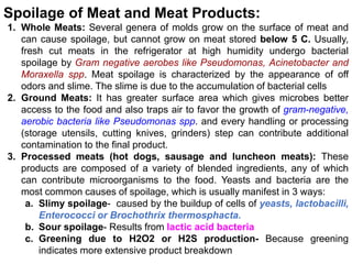 Spoilage of Meat and Meat Products:
1. Whole Meats: Several genera of molds grow on the surface of meat and
can cause spoilage, but cannot grow on meat stored below 5 C. Usually,
fresh cut meats in the refrigerator at high humidity undergo bacterial
spoilage by Gram negative aerobes like Pseudomonas, Acinetobacter and
Moraxella spp. Meat spoilage is characterized by the appearance of off
odors and slime. The slime is due to the accumulation of bacterial cells
2. Ground Meats: It has greater surface area which gives microbes better
access to the food and also traps air to favor the growth of gram-negative,
aerobic bacteria like Pseudomonas spp. and every handling or processing
(storage utensils, cutting knives, grinders) step can contribute additional
contamination to the final product.
3. Processed meats (hot dogs, sausage and luncheon meats): These
products are composed of a variety of blended ingredients, any of which
can contribute microorganisms to the food. Yeasts and bacteria are the
most common causes of spoilage, which is usually manifest in 3 ways:
a. Slimy spoilage- caused by the buildup of cells of yeasts, lactobacilli,
Enterococci or Brochothrix thermosphacta.
b. Sour spoilage- Results from lactic acid bacteria
c. Greening due to H2O2 or H2S production- Because greening
indicates more extensive product breakdown
 