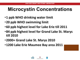 OHIO SEA GRANT AND STONE LABORATORY
•1 ppb WHO drinking water limit
•20 ppb WHO swimming limit
•60 ppb highest level for Lake Erie till 2011
•84 ppb highest level for Grand Lake St. Marys
till 2010
•2000+ Grand Lake St. Marys 2010
•1200 Lake Erie Maumee Bay area 2011
Microcystin Concentrations
 