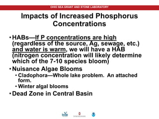 OHIO SEA GRANT AND STONE LABORATORY
Impacts of Increased Phosphorus
Concentrations
•HABs—If P concentrations are high
(regardless of the source, Ag, sewage, etc.)
and water is warm, we will have a HAB
(nitrogen concentration will likely determine
which of the 7-10 species bloom)
•Nuisance Algae Blooms
• Cladophora—Whole lake problem. An attached
form.
• Winter algal blooms
•Dead Zone in Central Basin
 