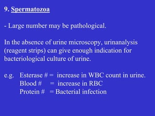 9. Spermatozoa
- Large number may be pathological.
In the absence of urine microscopy, urinanalysis
(reagent strips) can give enough indication for
bacteriological culture of urine.
e.g. Esterase # = increase in WBC count in urine.
Blood # = increase in RBC
Protein # = Bacterial infection
 