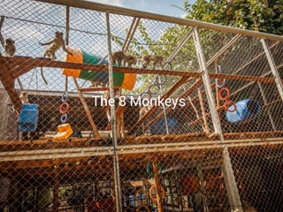 The 8 Monkeys 
http://speakingofresearch.com/category/news/campus-activism/ 
 