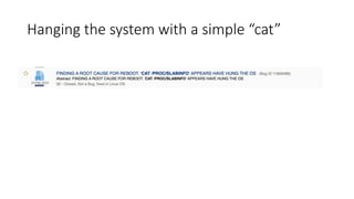 Hanging the system with a simple “cat”
 