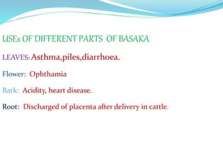 USEs OF DIFFERENT PARTS OF BASAKA 
LEAVES: Asthma,piles,diarrhoea. 
Flower: Ophthamia 
Bark: Acidity, heart disease. 
Root: Discharged of placenta after delivery in cattle. 
 