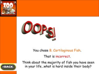 OOPS! You chose  B. Cartilaginous Fish .  That is  incorrect .  Think about the majority of fish you have seen in your life…what is hard inside their body? 