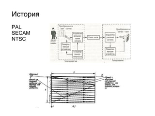 История   PAL SECAM NTSC 