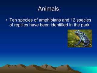 Animals Ten species of amphibians and 12 species of reptiles have been identified in the park.  