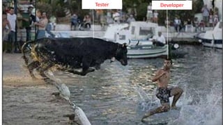 Tester Developer
 