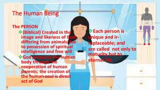 The Human Being
The PERSON
(Biblical) Created in the
image and likeness of God;
differing from animals due
to possession of spiritual
intelligence and free will
God produces the human
body through the
cooperation of human
parents; the creation of
the human soul is direct
act of God
Each person is
unique and ir-
replaceable; and
are called not only to
maturity but to
eternal life
 