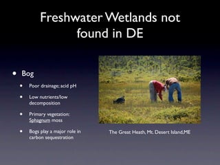 Freshwater Wetlands not
                   found in DE

•   Bog
    •   Poor drainage; acid pH

    •   Low nutrients/low
        decomposition

    •   Primary vegetation:
        Sphagnum moss

    •   Bogs play a major role in   The Great Heath, Mt. Desert Island,ME
        carbon sequestration
 