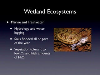 Wetland Ecosystems
•   Marine and Freshwater

    •   Hydrology and water-
        logging

    •   Soils ﬂooded all or part
        of the year

    •   Vegetation tolerant to
        low O2 and high amounts
        of H2O
 