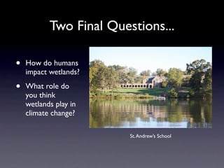 Two Final Questions...

•   How do humans
    impact wetlands?

•   What role do
    you think
    wetlands play in
    climate change?

                         St. Andrew’s School
 