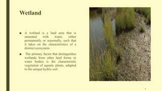 Wetland
■ A wetland is a land area that is
saturated with water, either
permanently or seasonally, such that
it takes on the characteristics of a
distinct ecosystem.
■ The primary factor that distinguishes
wetlands from other land forms or
water bodies is the characteristic
vegetation of aquatic plants, adapted
to the unique hydric soil.
4
 