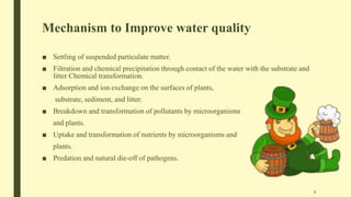 Mechanism to Improve water quality
■ Settling of suspended particulate matter.
■ Filtration and chemical precipitation through contact of the water with the substrate and
litter Chemical transformation.
■ Adsorption and ion exchange on the surfaces of plants,
substrate, sediment, and litter.
■ Breakdown and transformation of pollutants by microorganisms
and plants.
■ Uptake and transformation of nutrients by microorganisms and
plants.
■ Predation and natural die-off of pathogens.
9
 