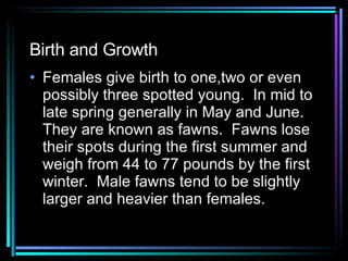 Birth and Growth Females give birth to one,two or even possibly three spotted young.  In mid to late spring generally in May and June.  They are known as fawns.  Fawns lose their spots during the first summer and weigh from 44 to 77 pounds by the first winter.  Male fawns tend to be slightly larger and heavier than females. 