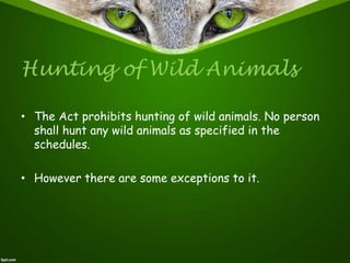 Hunting of Wild Animals
• The Act prohibits hunting of wild animals. No person
shall hunt any wild animals as specified in the
schedules.
• However there are some exceptions to it.
 