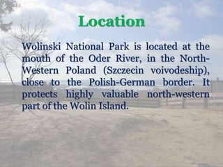 Location
Wolinski National Park is located at the
mouth of the Oder River, in the North-
Western Poland (Szczecin voivodeship),
close to the Polish-German border. It
protects highly valuable north-western
part of the Wolin Island.
 