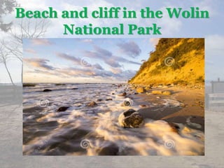 Beach and cliff in the Wolin
National Park
 