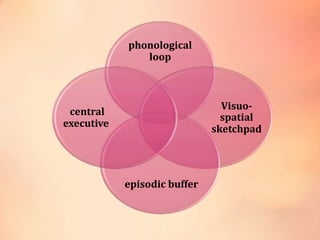 phonological
loop
Visuo-
spatial
sketchpad
episodic buffer
central
executive
 