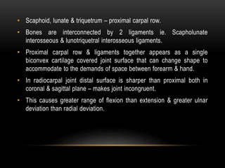 • Scaphoid, lunate & triquetrum – proximal carpal row.
• Bones are interconnected by 2 ligaments ie. Scapholunate
interosseous & lunotriquetral interosseous ligaments.
• Proximal carpal row & ligaments together appears as a single
biconvex cartilage covered joint surface that can change shape to
accommodate to the demands of space between forearm & hand.
• In radiocarpal joint distal surface is sharper than proximal both in
coronal & sagittal plane – makes joint incongruent.
• This causes greater range of flexion than extension & greater ulnar
deviation than radial deviation.
 