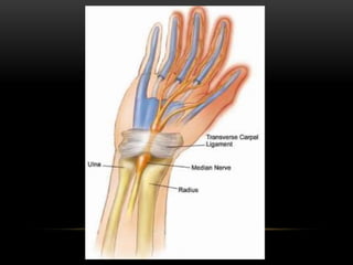 Wrist & hand complex