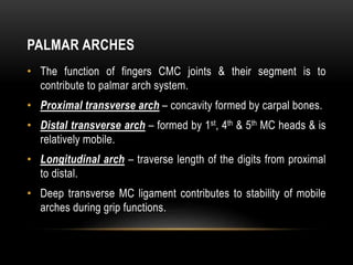 PALMAR ARCHES
• The function of fingers CMC joints & their segment is to
contribute to palmar arch system.
• Proximal transverse arch – concavity formed by carpal bones.
• Distal transverse arch – formed by 1st, 4th & 5th MC heads & is
relatively mobile.
• Longitudinal arch – traverse length of the digits from proximal
to distal.
• Deep transverse MC ligament contributes to stability of mobile
arches during grip functions.
 