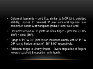 • Collateral ligaments – cord like, similar to MCP joint, provides
stability. Injuries to proximal IP joint collateral ligament are
common in sports & at workplace (radial > ulnar collateral)
• Flexion/extension of IP joints of index finger – proximal (100°-
110°) > distal (80°).
• Range of PIP & DIP joint flexion increases ulnarly with 5th PIP &
DIP having flexion ranges of 135° & 90° respectively.
• Additional range to ulnarly fingers – favors angulation of fingers
towards scaphoid & opposition with thumb.
 