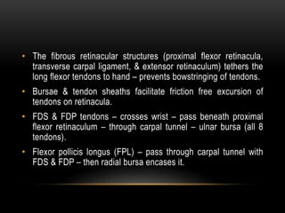 • The fibrous retinacular structures (proximal flexor retinacula,
transverse carpal ligament, & extensor retinaculum) tethers the
long flexor tendons to hand – prevents bowstringing of tendons.
• Bursae & tendon sheaths facilitate friction free excursion of
tendons on retinacula.
• FDS & FDP tendons – crosses wrist – pass beneath proximal
flexor retinaculum – through carpal tunnel – ulnar bursa (all 8
tendons).
• Flexor pollicis longus (FPL) – pass through carpal tunnel with
FDS & FDP – then radial bursa encases it.
 