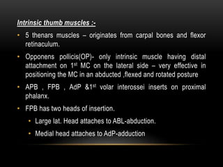 Intrinsic thumb muscles :-
• 5 thenars muscles – originates from carpal bones and flexor
retinaculum.
• Opponens pollicis(OP)- only intrinsic muscle having distal
attachment on 1st MC on the lateral side – very effective in
positioning the MC in an abducted ,flexed and rotated posture
• APB , FPB , AdP &1st volar interossei inserts on proximal
phalanx.
• FPB has two heads of insertion.
• Large lat. Head attaches to ABL-abduction.
• Medial head attaches to AdP-adduction
 