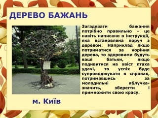 ДЕРЕВО БАЖАНЬ
м. Київ
Загадувати бажання
потрібно правильно - це
навіть написано в інструкції,
яка встановлена поруч з
деревом. Наприклад якщо
потриматися за коріння
дерева, то здоровими будуть
ваші батьки, якщо
подивитися на хвіст птаха
удачі, то успіх буде
супроводжувати в справах,
потримавшись за
молодильні яблучка-
значить, зберегти і
примножити свою красу.
 