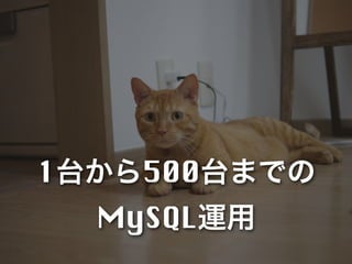 1台から500台までの
  MySQL運用
 