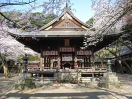 金崎宮(金ヶ崎公園)の桜