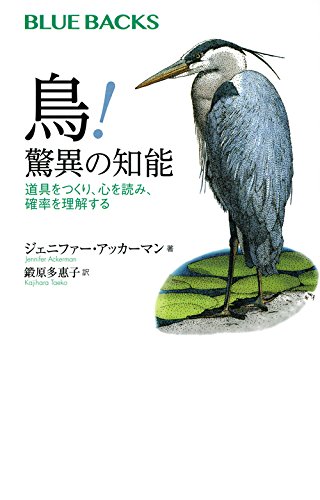 『鳥! 驚異の知能 道具をつくり、心を読み、確率を理解する』　鳥を知れば人間の本質が見えてくる