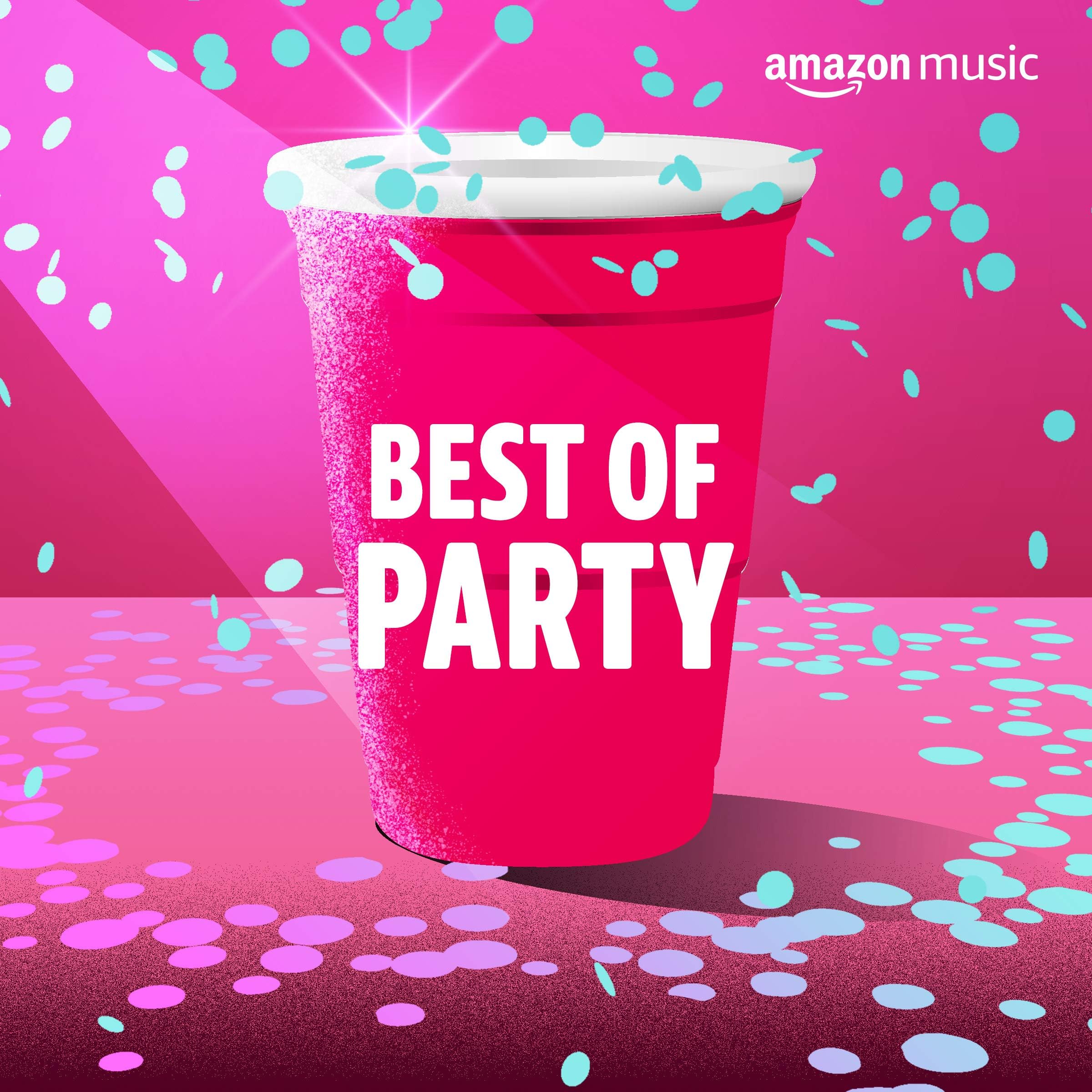 Best Of Party