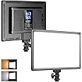 NEEWER 192 LED Video Light Panel, 20W Ultra Thin Bi Color Dimmable DSLR Camera Soft Light with 8000mAh Built in Lithium Batte
