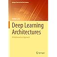 Deep Learning Architectures: A Mathematical Approach (Springer Series in the Data Sciences)