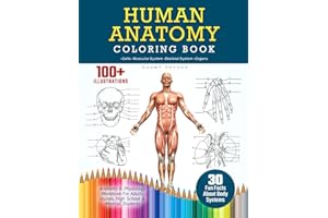 Human Anatomy Coloring Book: 100+ Illustrations In The Anatomy & Physiology Workbook For Adults, Nurses, High School & Medica