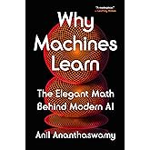 Why Machines Learn: The Elegant Math Behind Modern AI