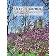 Deep Learning (Adaptive Computation and Machine Learning series)