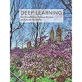 Deep Learning (Adaptive Computation and Machine Learning series)