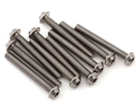 1UP Racing Titanium Pro Duty LowPro Head Screws (10)