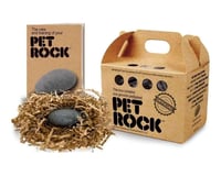 Super Impulse Classic Pet Rock Toy